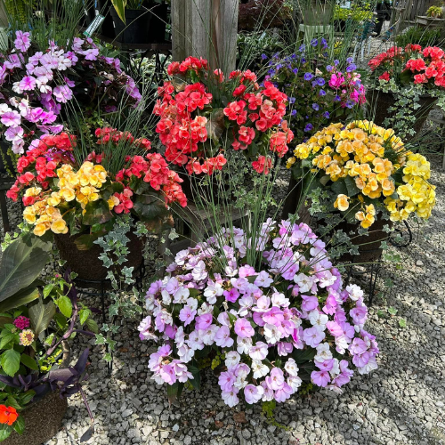 Mathies Landscaping