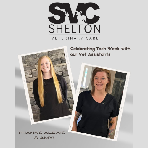 Shelton Veterinary Care