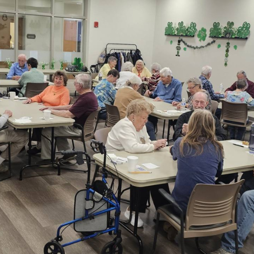 Shelby Senior Services, Inc The Horizon Center