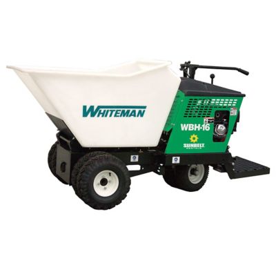 Sunbelt Rentals