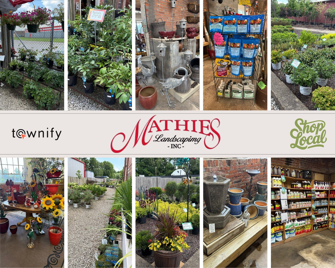 Spotlight on Shelby County’s Landscaping Legend