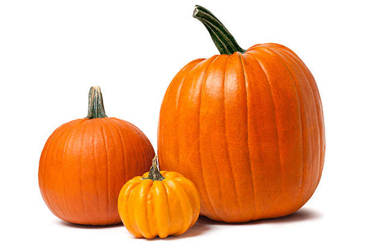 Fall in Shelbyville: Upcoming Events & Local Treasures