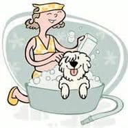 Dog In Sudz