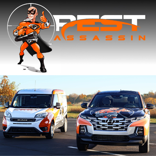 Pest Assassin