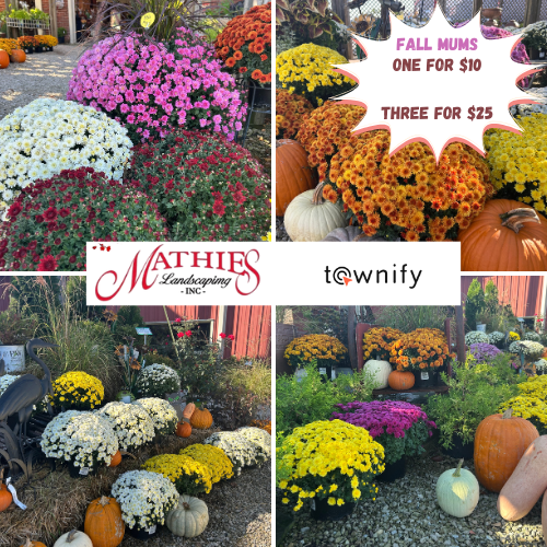 Mathies Landscaping