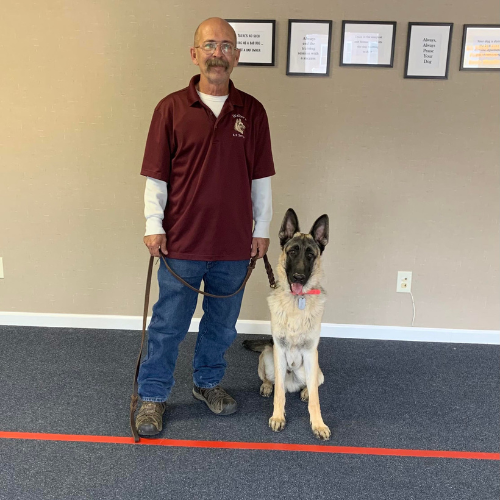 Walker's K-9 Services