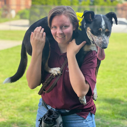 Walker's K-9 Services