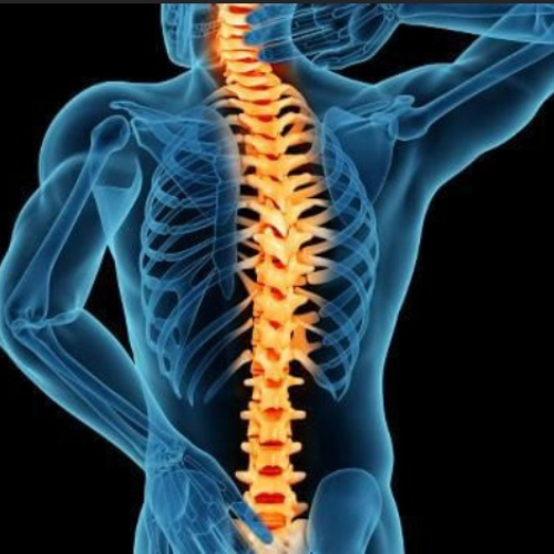 Clear Choice Chiropractic-Shelbyville
