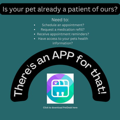 Shelton Veterinary Care